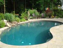 Bean Shaped Pool Manufacturer in Nashik